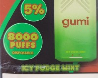 Gumi Icy Fudge Mint