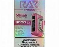 Raz TN9000 Strawberry Shortcake